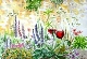 66 - Liz Symonds - In The Garden - Watercolour.JPG